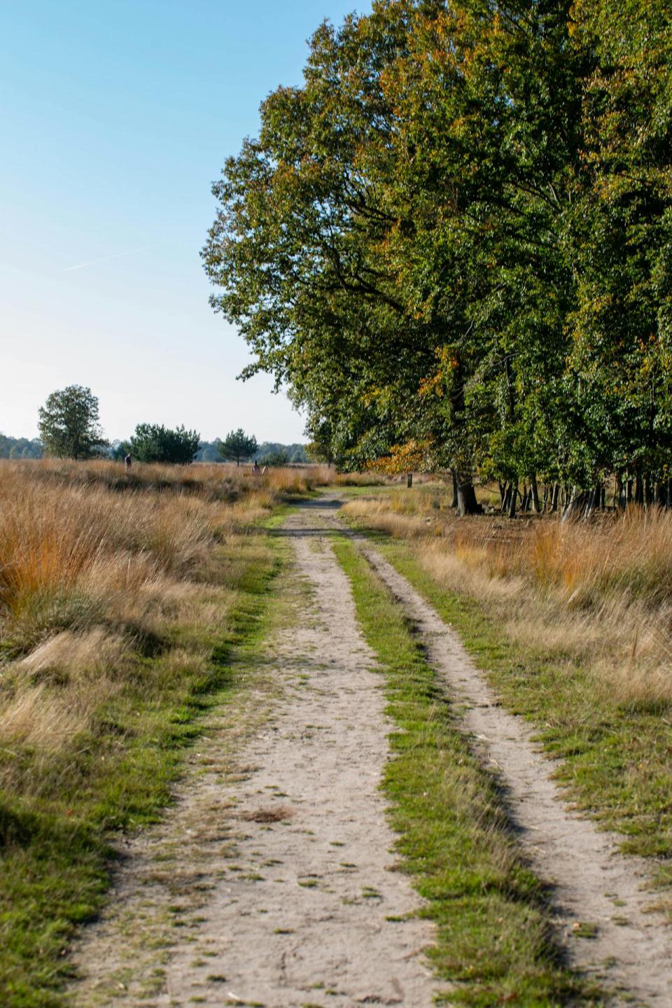 De mooiste fietsroutes in Drenthe voor 2025